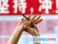 2021年遂寧中考成績查詢網址