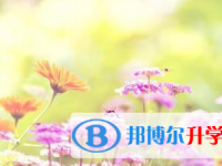 2021年宜賓中考查詢成績網址