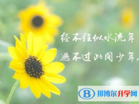 2021年廣元中考錄取結果查詢