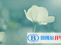 2021年宜賓中考報考人數