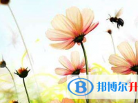 2021年宜賓中考報名號