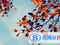 2021年宜賓中考報名網站
