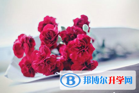 2021年廣安中考網中考查詢