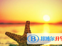 2021年宜賓中考查詢網