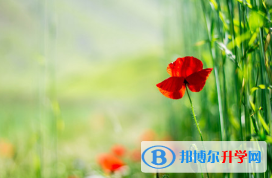 2021年廣安今年中考統招線包括哪些區域