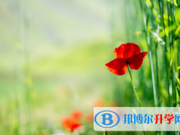 2021年廣安今年中考統招線包括哪些區域