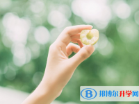 2021年廣元中考網登錄