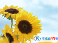 2021年廣元中考網絡登錄