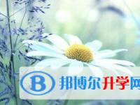 2021年宜賓中考孩子的營養餐