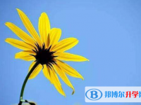 2021年廣元中考網上查詢