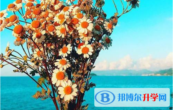 2021年廣元中考網上學校