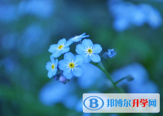2021年資陽中考報名系統