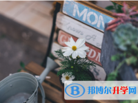 2021年阿壩中考民辦學校
