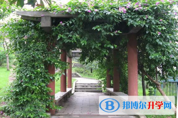 重慶長生橋中學校2021年報名條件、招生要求、招生對象
