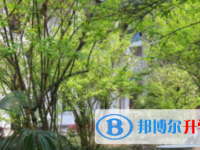 四川省犍為縣孝姑中學怎么樣、好不好