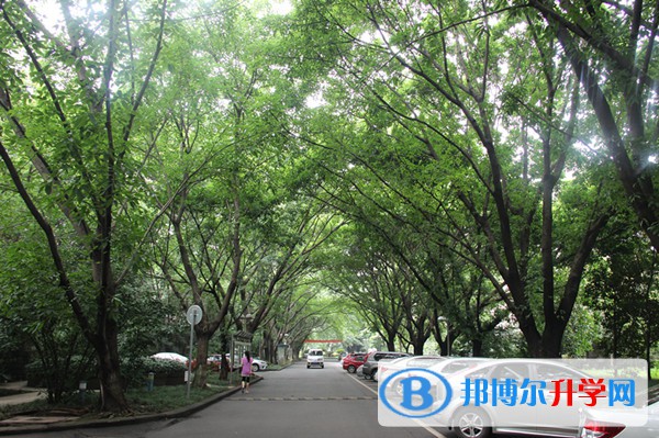 屏錦中學網站網址