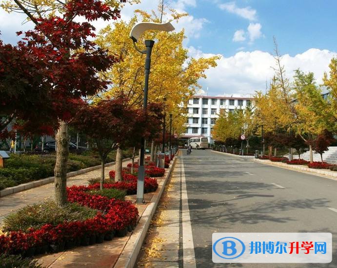 重慶第六十六中學校2021年排名
