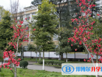 安縣秀水中學2025年學費、收費多少