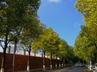 貴陽市第一中學2025年報名條件、招生要求、招生對象