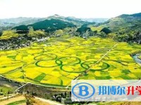 貴州開陽第四中學網站網址主頁