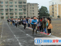 安縣秀水中學2023年招生錄取分數線