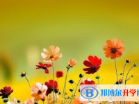 2021年咸陽中考的統招和調劑說明