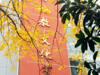 廣元市寶輪中學2021年招生代碼