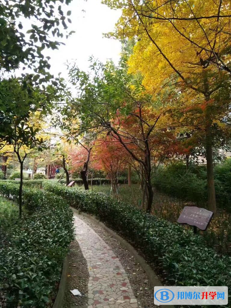 廣元市寶輪中學怎么樣、好不好