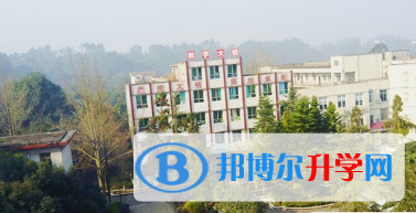 樂山新橋中學2022年學費、收費多少