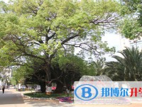 通?？h第三中學2021年招生簡章