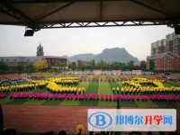 宜賓天立國際學校網站網址