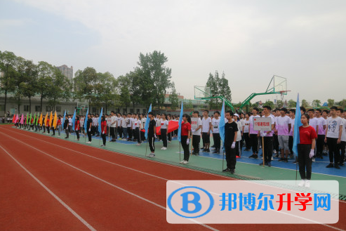 攀枝花市成都外國語學校網站網址