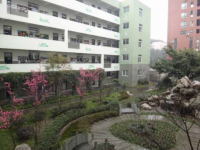 成都市棕北中學2025年招生簡章
