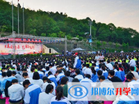 奉節縣甲高中學2025年招生簡章