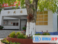 攀枝花市體育中學網站網址主頁