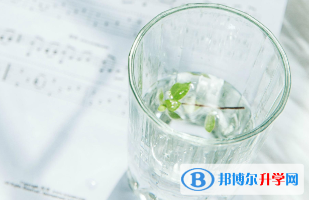 2021年攀枝花查詢中考成績
