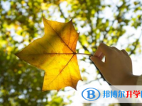 2021年攀枝花中考報名網