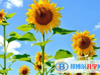 2021年咸陽中考自主招生情況