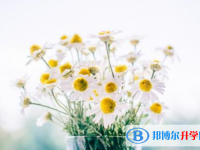 2021年咸陽中考怎么辦