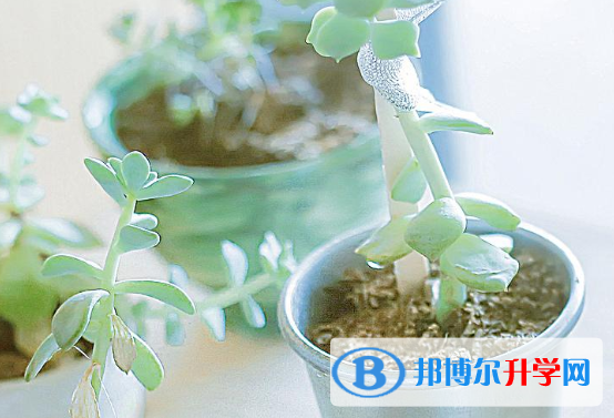 成都中考成績公布時間
