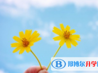2021年咸陽中考自主招生是什么意思