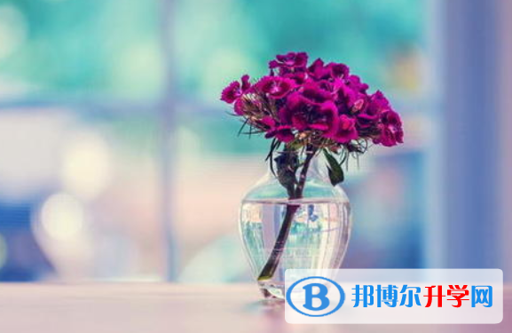 成都中考網絡應用服務平臺成績查詢