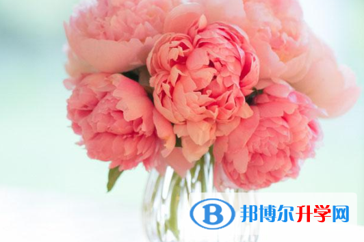 云南中考招生學校