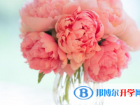 云南中考招生學校