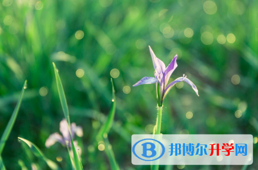 2021渭南中考規則