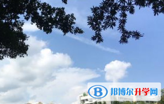 四川省成都市大面中學校2022年報名條件、招生要求、招生對象