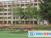 四川省金堂實驗中學2025年招生簡章