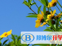 2021年涼山中考是什么時候