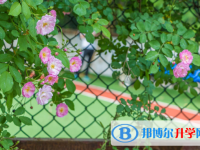 2021年咸陽中考200多的哪些學校要