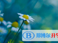 2021年涼山中考重點線預測